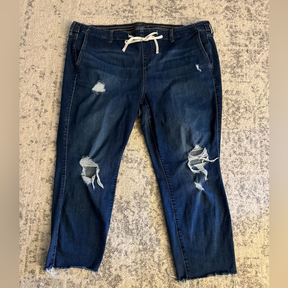Torrid Women Jeans 3R 22-24